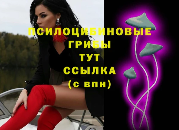 амф Бугульма