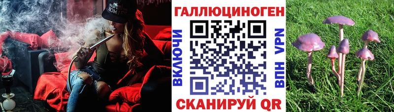 купить наркотики цена  Шали  Галлюциногенные грибы мицелий 
